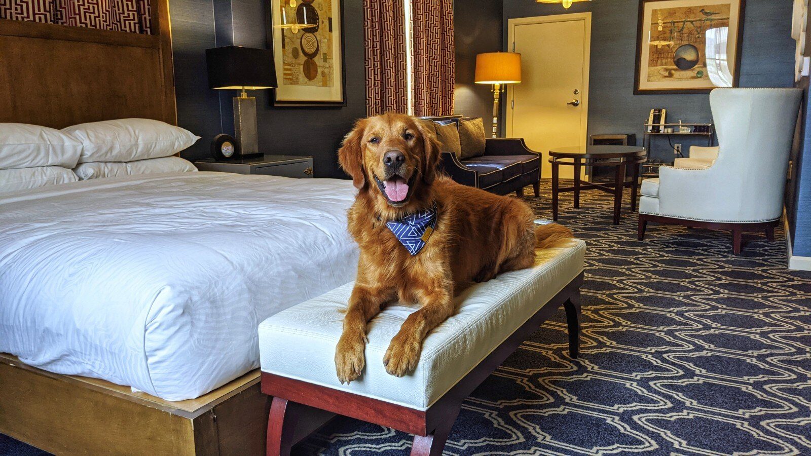 cheap-pet-friendly-motels-near-me-pets-are-welcome-2023