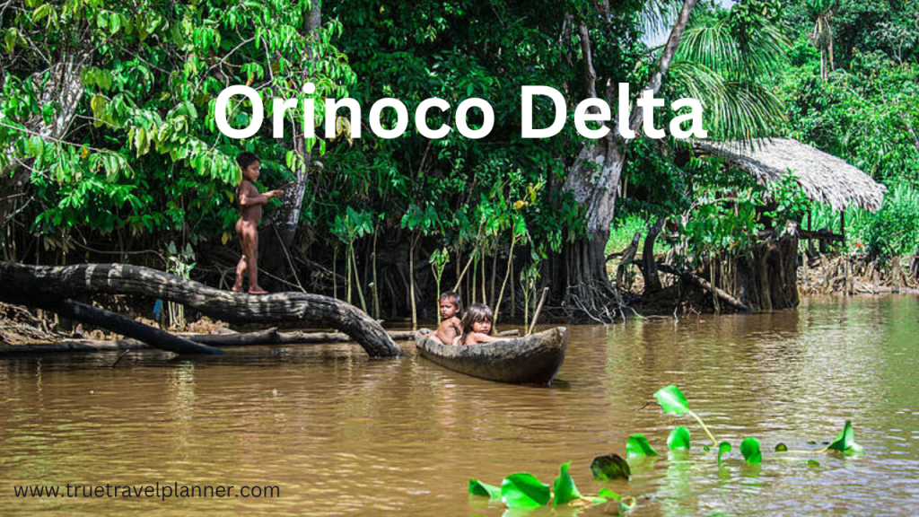 Orinoco Delta